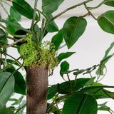 V9H53CCD2E7F22401DA024E2E300C79E183R6382228P2