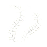 V4H702580C352301DB3669F55DA114DCBA5R5014433P1