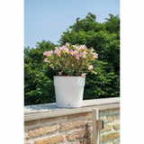 V4H18CAC29338AC6D919F723A047CC859F4R4227014P2