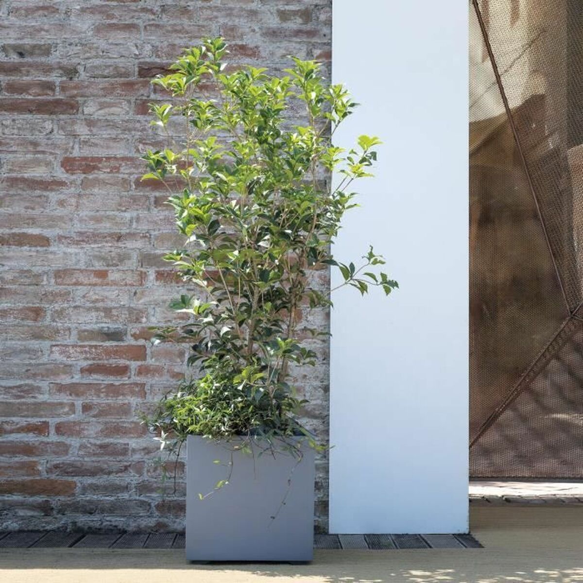 V3H4BD9B477E9C1633E8F6FFFF970988A73R5927905P2