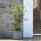 V3H4BD9B477E9C1633E8F6FFFF970988A73R5927905P2