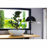 V8H71668CE6FA93236DAD67F0F9F250FD32R3441712P3