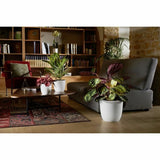 V8H8DFEC7E67F930F5D857ADEEAF43039D0R3441022P2