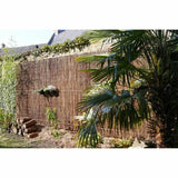 V3H9AA53280D75D49E4B4594B1F4D259904R5781083P2