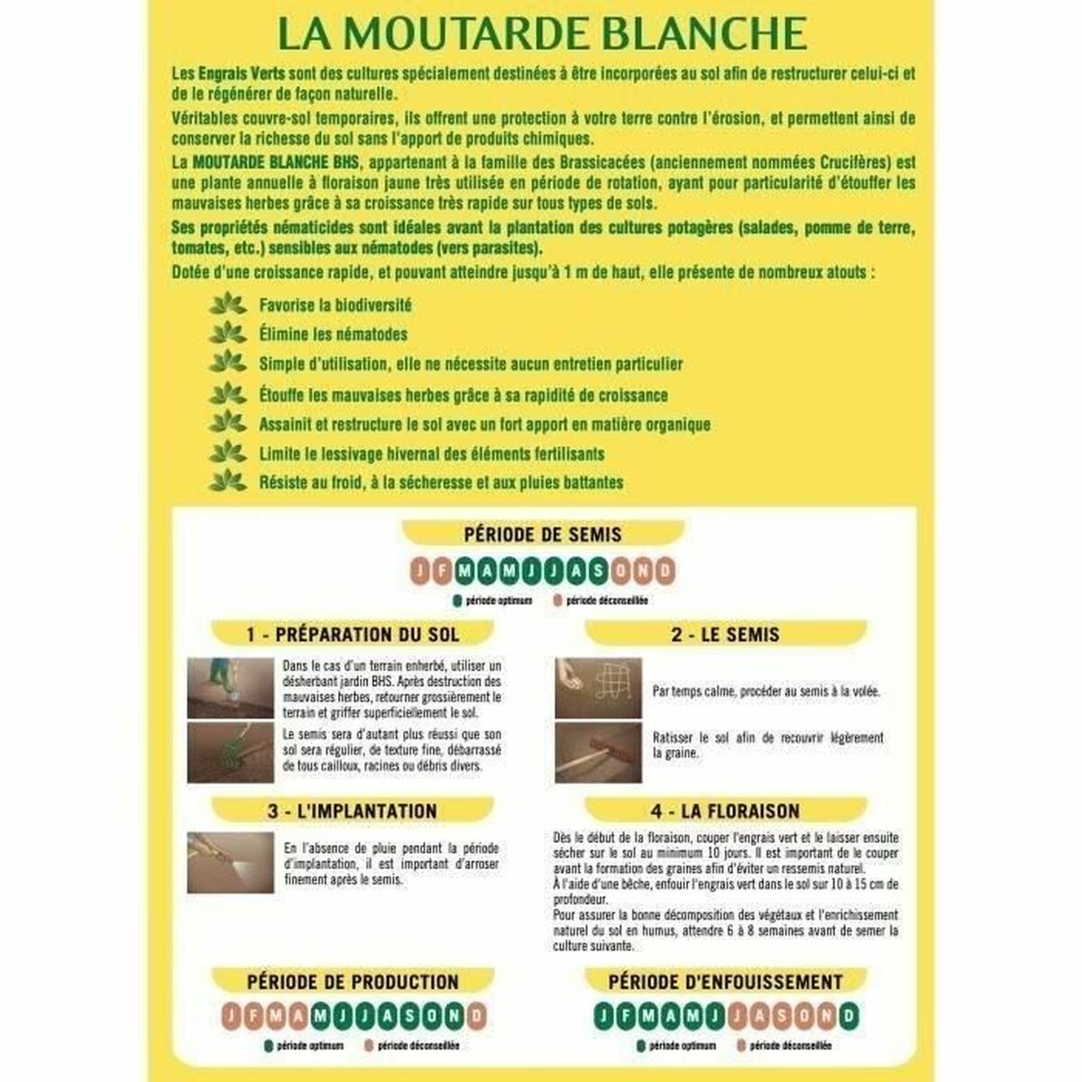 V5HCF064A05204535BA86B780644BA9E739R7405493P2