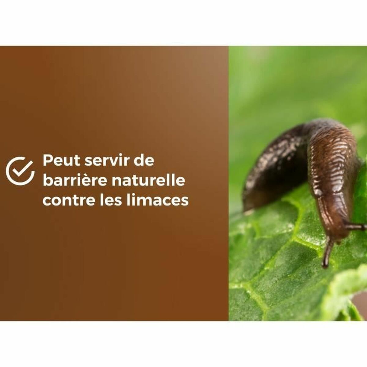 V4H90DD8B0C9260BA948ED1E34CEB99248FR5819564P5