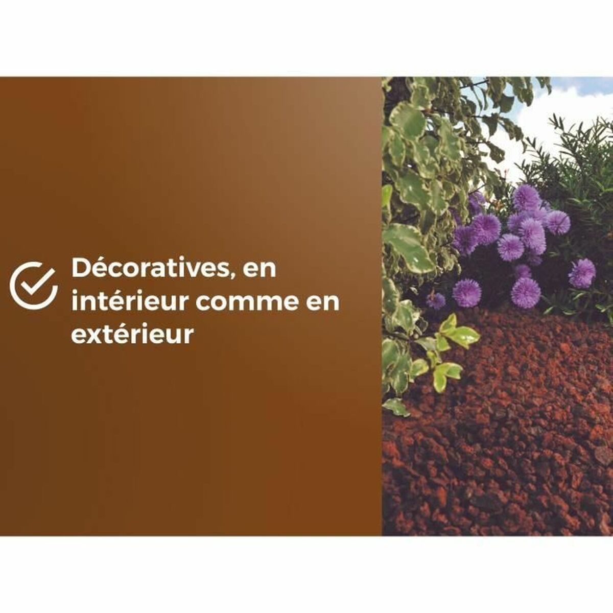 V4H9886F4DA9DBEAC634B89A0BBB9DE5E56R5819566P6