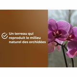 V4HDDF757B70266AC93D85F7047226D342FR5966079P4