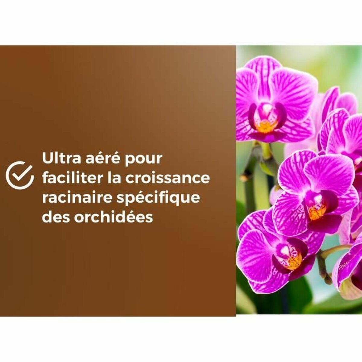 V4HA561B30F8D28E34140CAAD3F947C2C4ER5966080P5