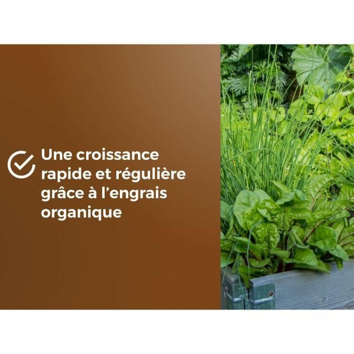 V4H80D46C59EA554F70837508E2E9A3506FR5966238P4