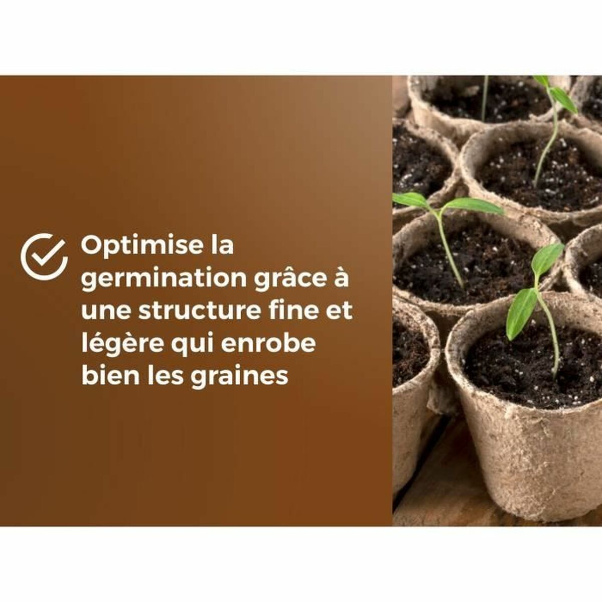 V4H6F5BDFE30C29DC89ECEE322136A3B341R5809337P4