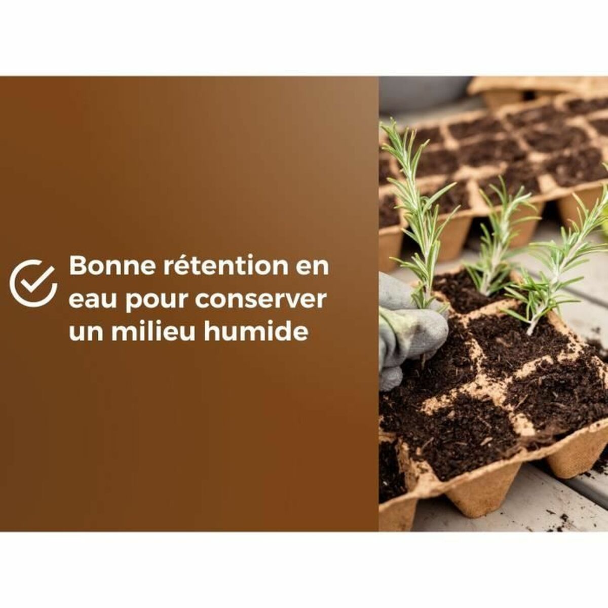 V4HBA0F161FE05873CECF08EF5F80867049R5809339P5