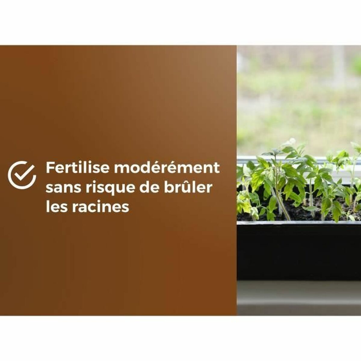 V4H074EAA3834488343D7DF2BB9ADA5AAD4R5809341P6