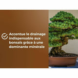 V2H42F2CD65800433196C1EB5F4B5EEA1D7R6736617P4