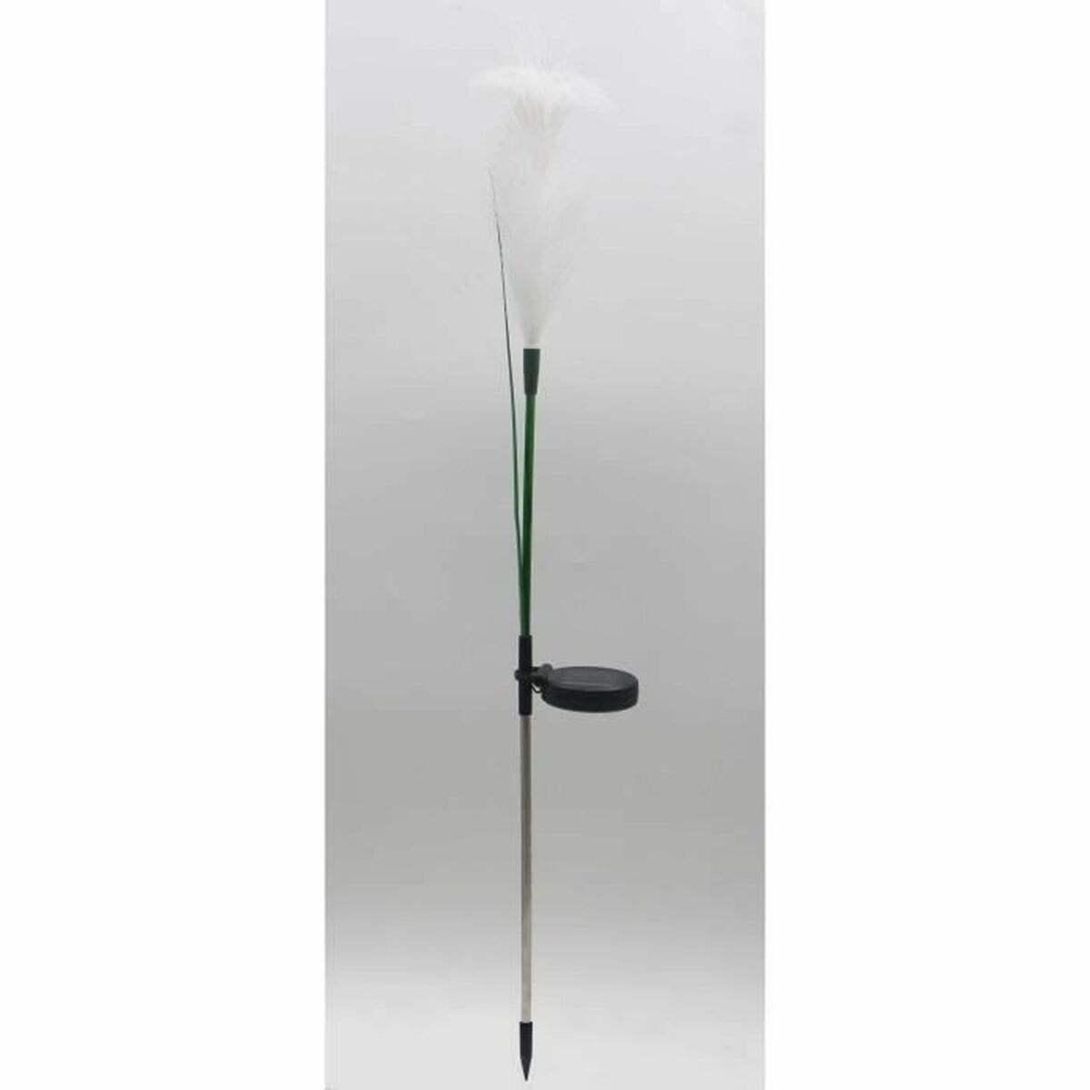 V4H081EDD81BB783B95196C55D68E3C01EBR5567694P2