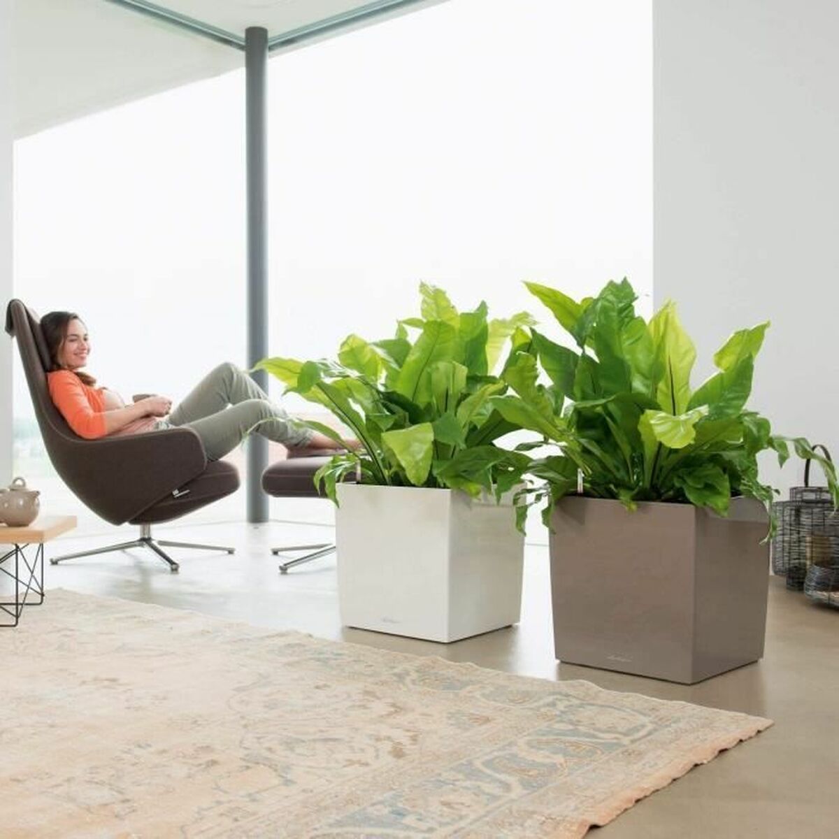 V7H78B2BA13A6428857A93A3638ED18F50BR7024083P4