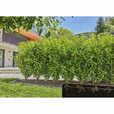 V5H1D002FFEB04DFE047FA5A5931D143466R3507985P4