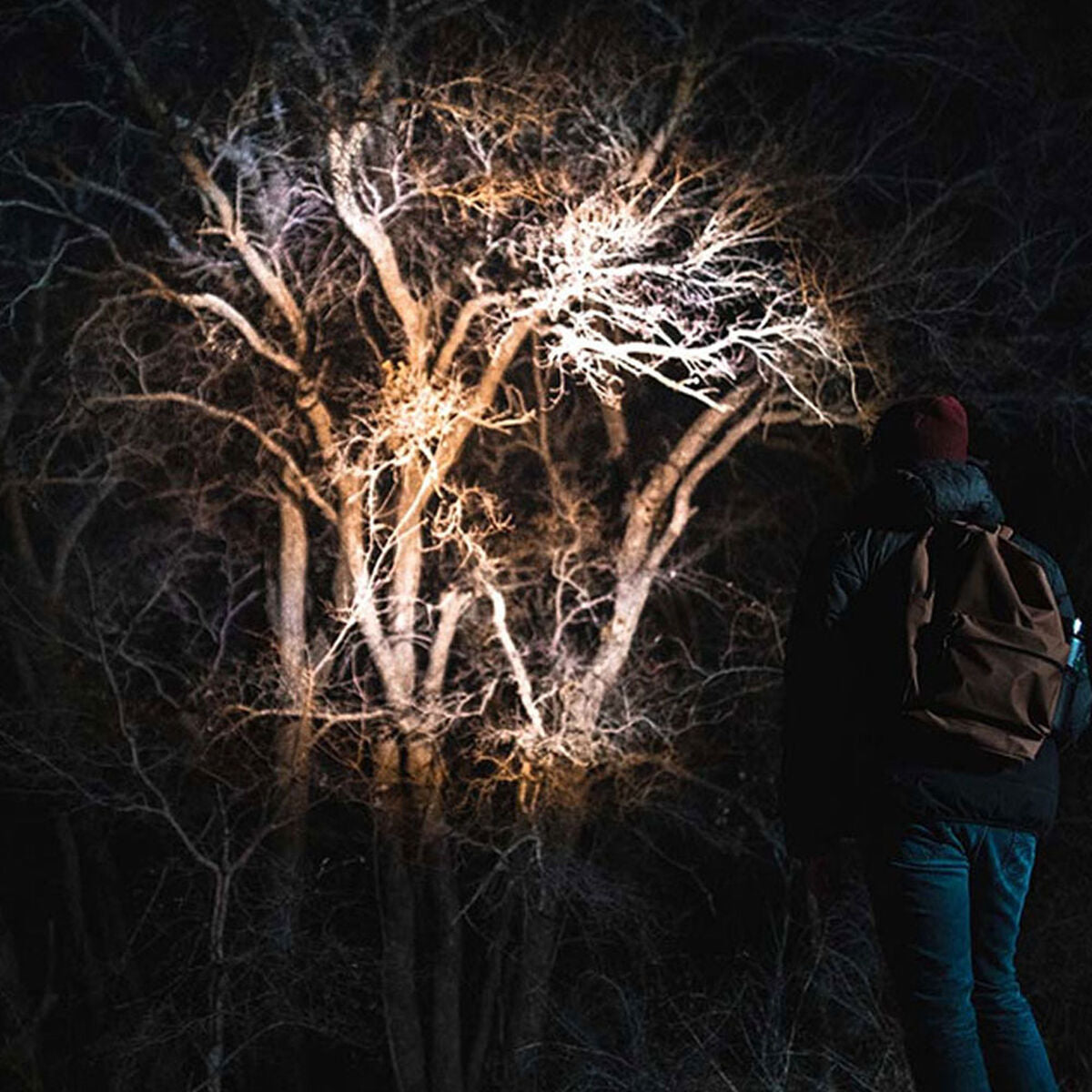 V6H1283CD6DB6F34A903201B93BEBC5AF94R4107356P5