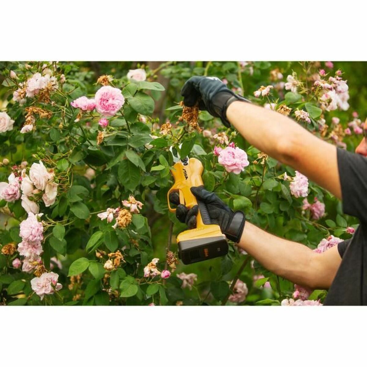 V7HC3A93FB876BB96C191D3D8618EEC8E4DR4095424P4