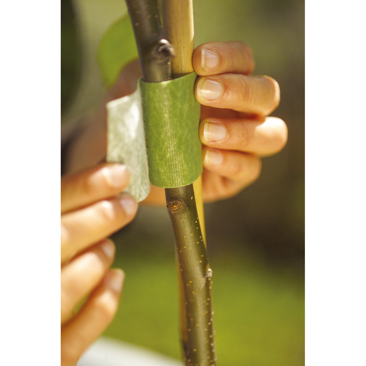 V5H4E2315320AD9A14C4F331BE099997722R5565787P3