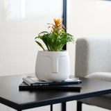 V6HE61504773ACC5512A07A47988EC2A8B5R3411165P2