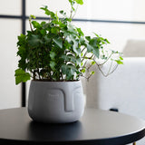 V7H07A6E11D06BFCEB9436E05250A644B86R5340603P2