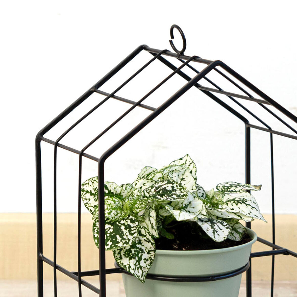 V4H93F1D36410EB0F0731ED253A0C6A701DR5315082P6