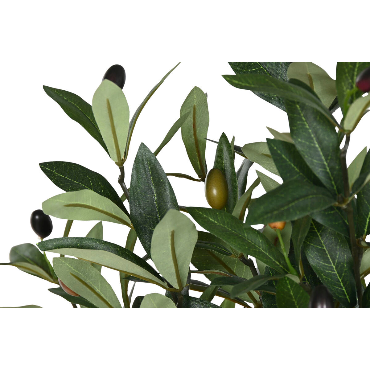 V2H078F598D4D2044626A7D66570D76243CR7521907P2