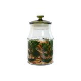 V4H1D3731C216657F705A5B0ADD8EEC1CEER5266809P4