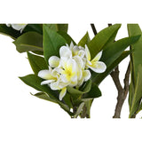 V4H0799B77D896F50EFE941F293E8B1B4EAR5676124P2