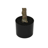 V4H1487CEB05F0CE0D2AE9256FDE07C19D8R5676127P4