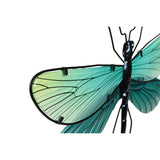 V2H9B0C11FEB173428159DC49B69F393416R7422530P2