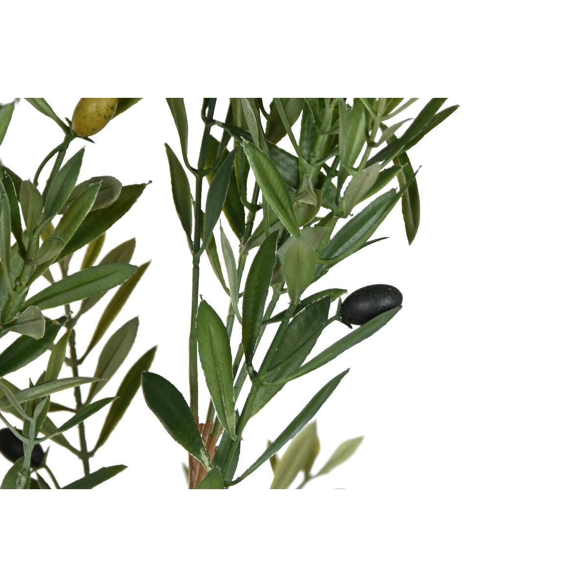 V4H9A2F9DAEDD389741D579BD8745ABF3B3R5953538P2