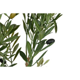 V4H9A2F9DAEDD389741D579BD8745ABF3B3R5953538P2