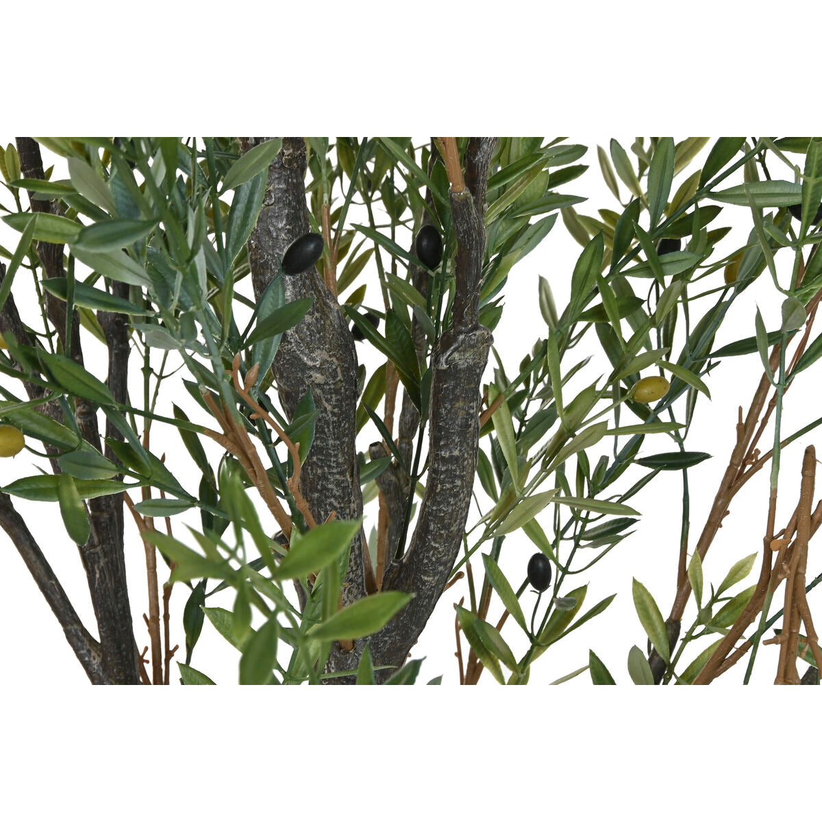 V4HB7D9CB37621C1747FAE0BBD9AF7F9A75R5953544P4