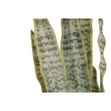 V2H4A2AF03675099B14F983E19029393B32R7521809P4