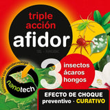 V5HEABDB2A2A4D4EDDF84A2D4BDD3196EE8R5565620P2