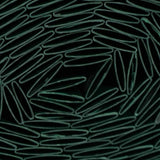 V4H31949CE8D206160C0FDBFCAEA3A4FCC1R6467261P2