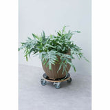 V3HBAFB39A69FBD93C0B691FDCC11D036AER6685373P2