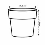 V7H986DED2F8C8FAFF1CB9BD3E433A1C68FR3534052P3