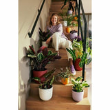 V3H3875A8E0D92064C991B074A9834B02CER5780298P4