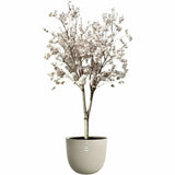 V3HC0F0EA3790855421AAAEBF07E8FDEAA8R5529183P2