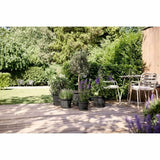 V4H2FABCB969D98C97A79AC96BC1A5D0E33R6178319P3