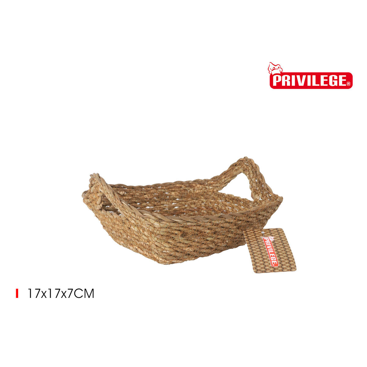 V4H4779D308987B8A7E594A27C240E7B3A1R5676117P2