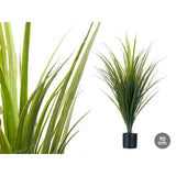 V2H8D81B90CE634411EB2AA5B62D1414EA4R7198182P2