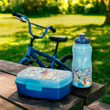 V2HA4FC13DB06D29BD9B1413465378B1A79R6891392P3